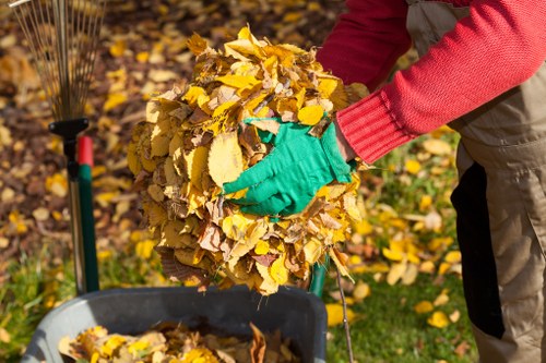 Professional house clearance services in Plaistow