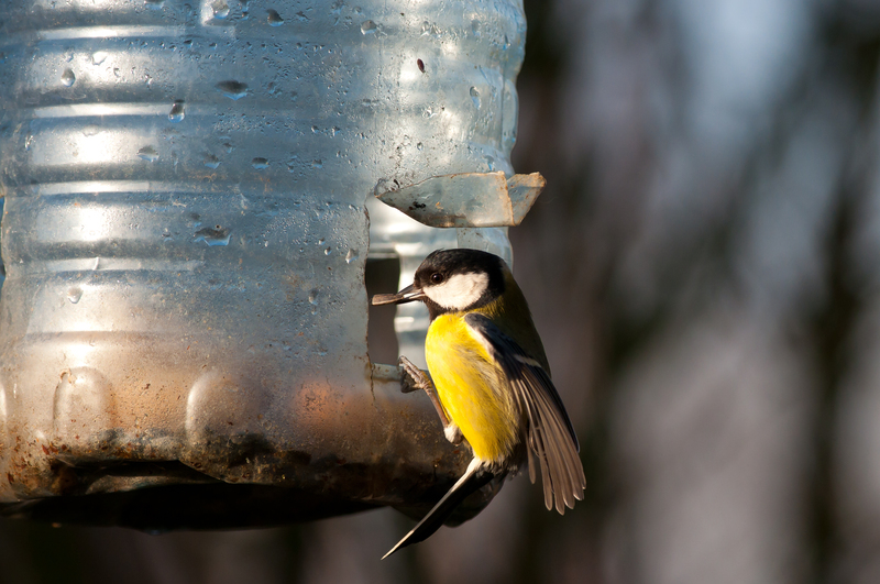 Home Waste Collection Hacks to Support Environmental Conservation