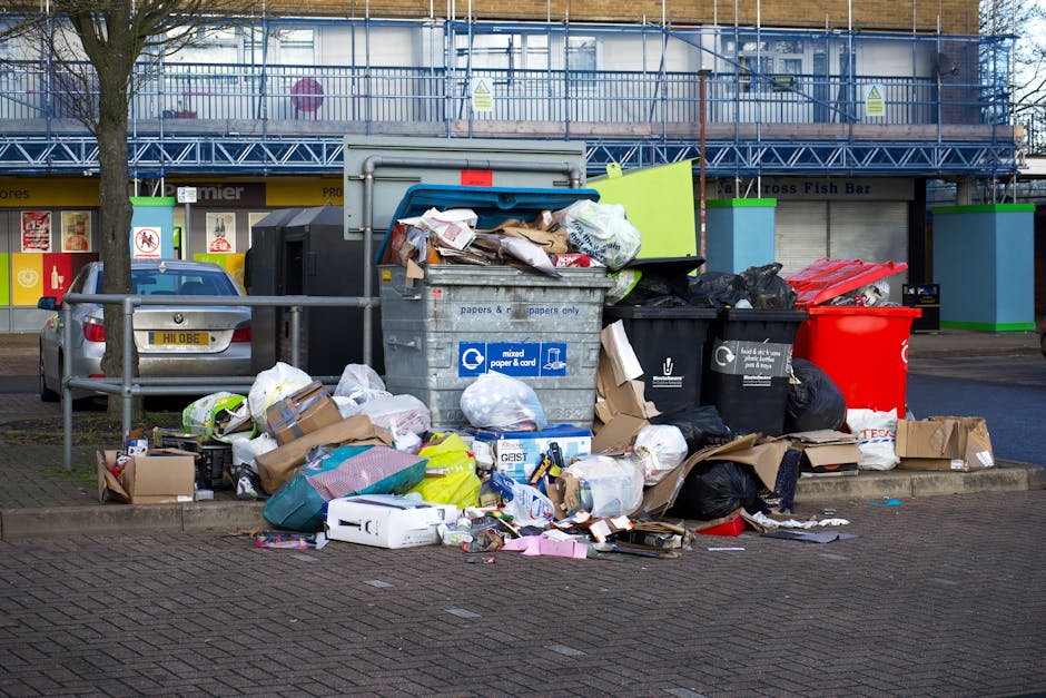 Plaistow house rubbish removal guide for High Street homes